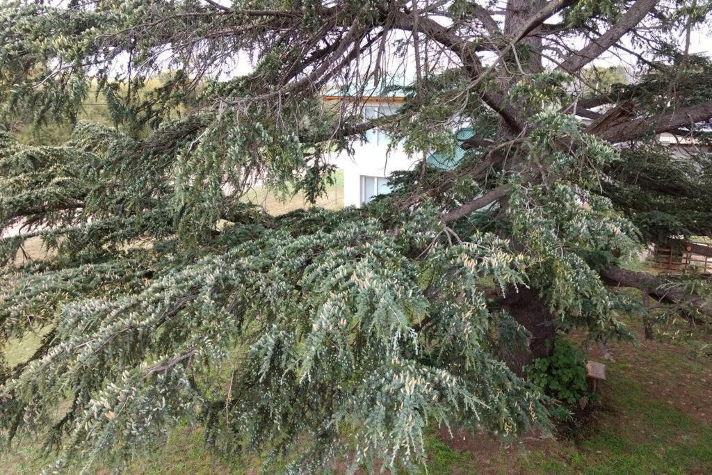 Maika La Peke Apartman Sierra de la Ventana Kültér fotó
